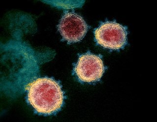 新型コロナウイルス,対策,免疫力,高める,方法